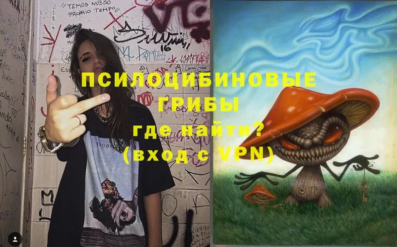 МЕГА   Слюдянка  Галлюциногенные грибы MAGIC MUSHROOMS 